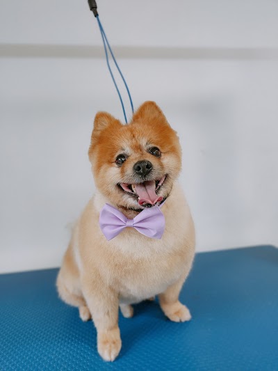 Grooming Van Image