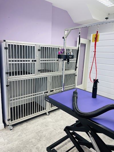 Grooming Van Image