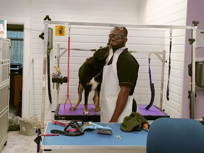 Grooming Van Image