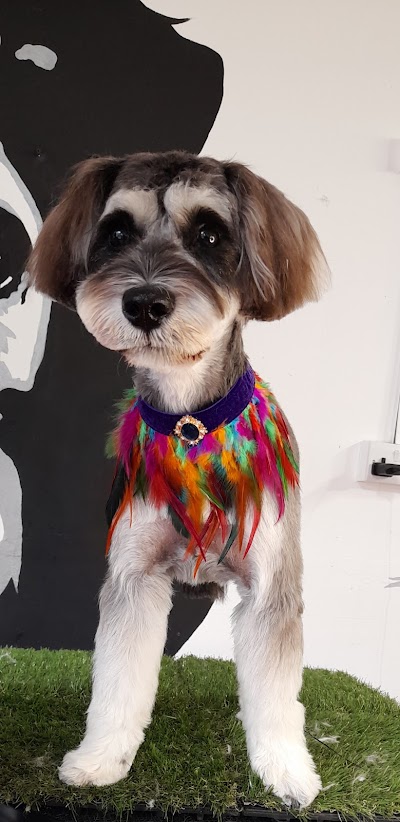 Grooming Van Image