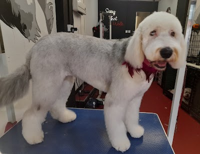 Grooming Van Image