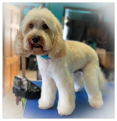 Grooming Van Image