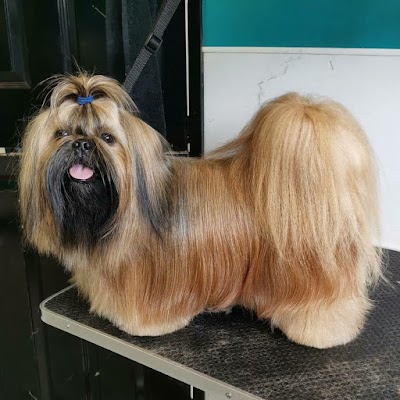 Grooming Van Image