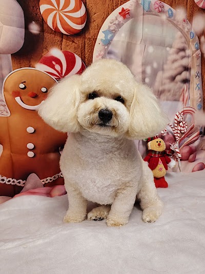 Grooming Van Image