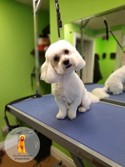 Grooming Van Image