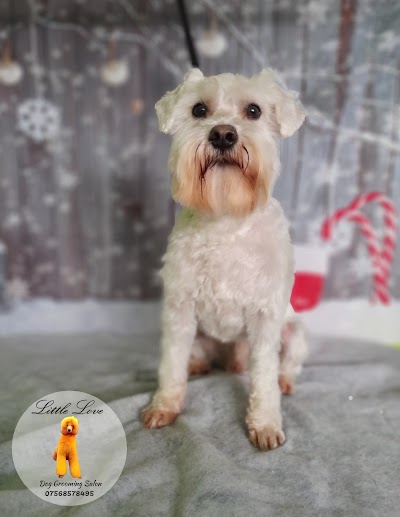 Grooming Van Image