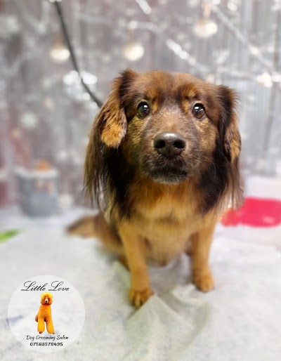 Grooming Van Image