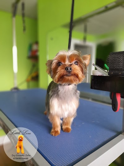 Grooming Van Image