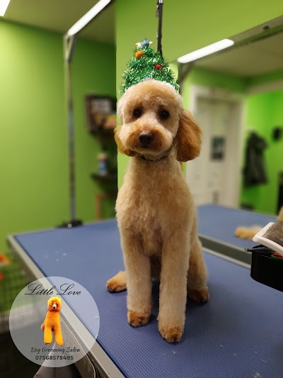 Grooming Van Image
