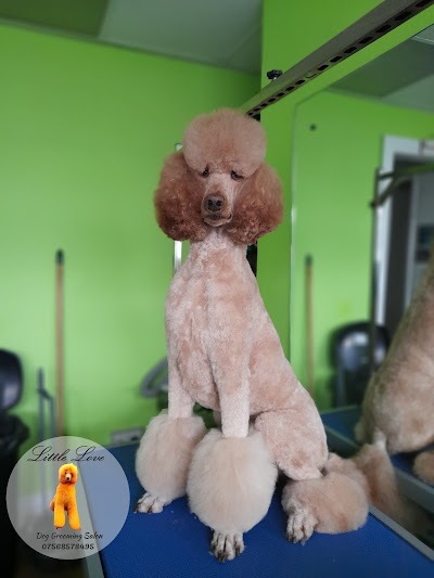 Grooming Van Image