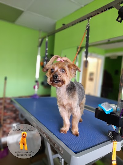 Little Love Dog Grooming