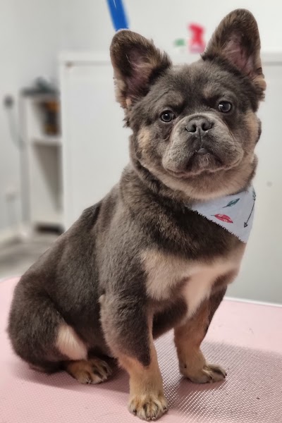 Grooming Van Image