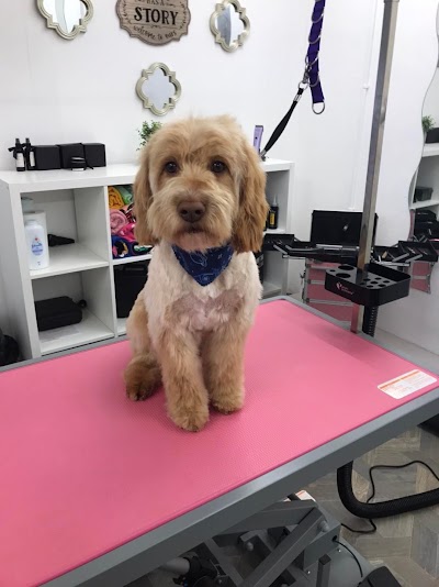 Grooming Van Image