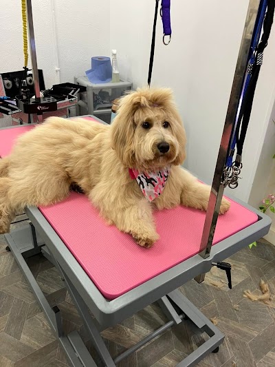 Grooming Van Image