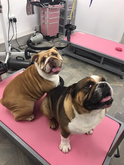 Grooming Van Image