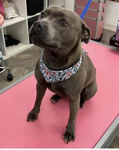 Grooming Van Image