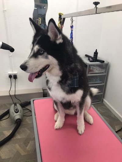 Grooming Van Image