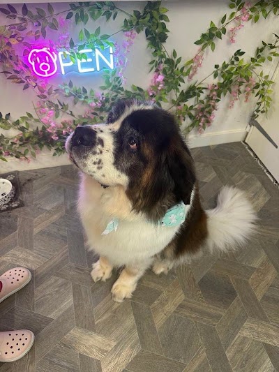 Grooming Van Image