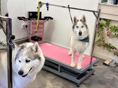 Grooming Van Image