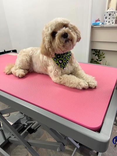 Pawpatrol Dog Grooming