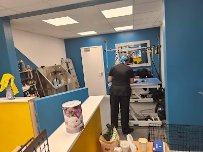 Grooming Van Image