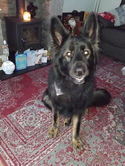 Grooming Van Image