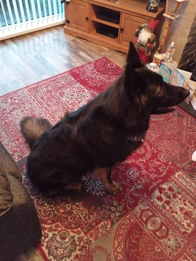 Grooming Van Image