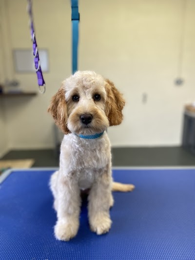 Grooming Van Image