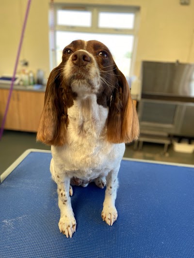 Grooming Van Image