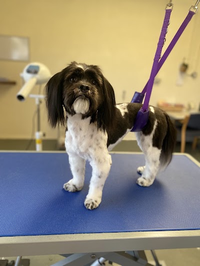 Grooming Van Image
