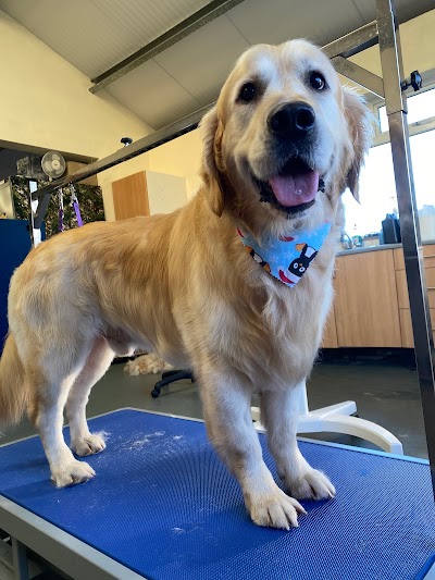 Grooming Van Image