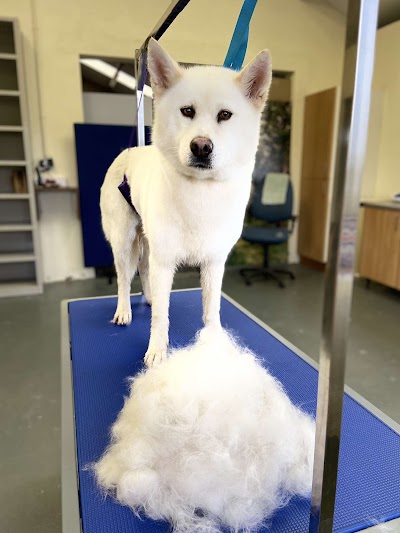 Grooming Van Image
