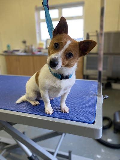 Grooming Van Image