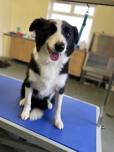 PlanetPaws Dog Grooming