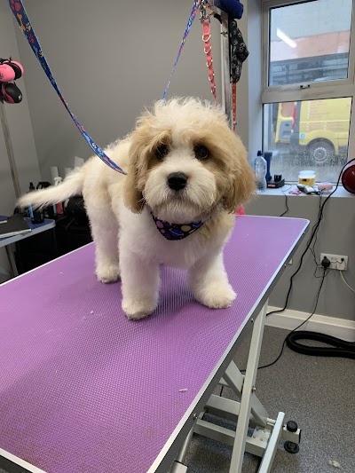 Grooming Van Image