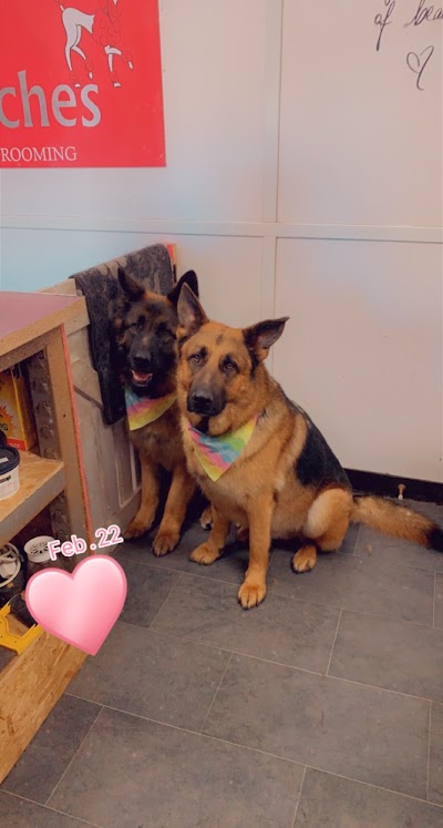 Grooming Van Image