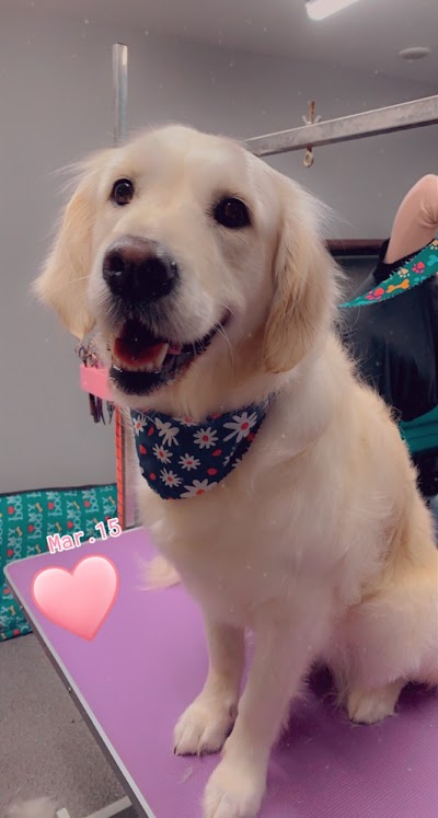 Grooming Van Image