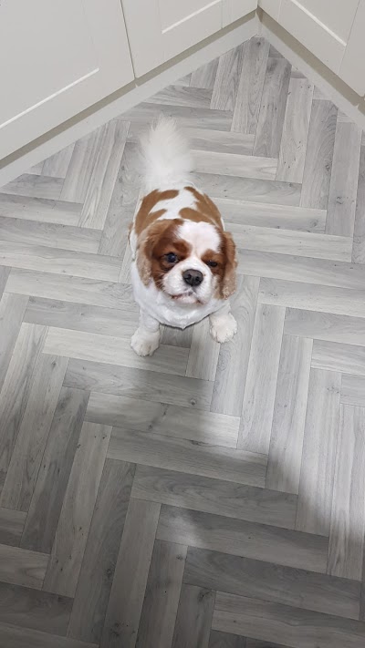Grooming Van Image