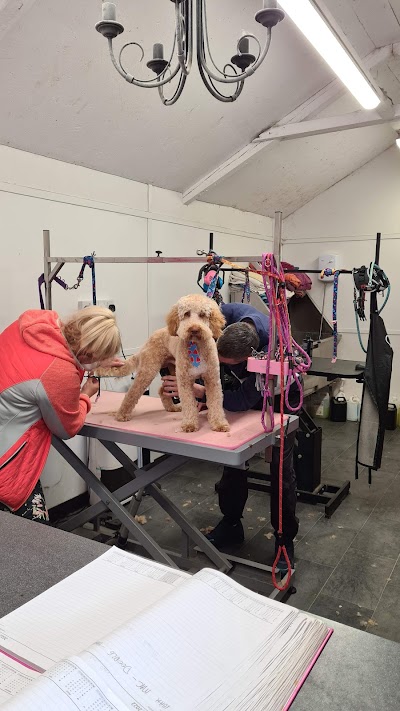 Grooming Van Image