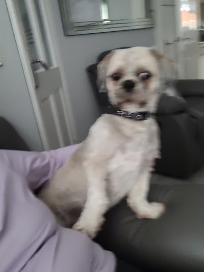 Grooming Van Image