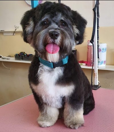 Grooming Van Image