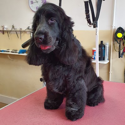 Grooming Van Image