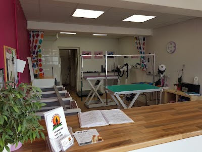 Grooming Van Image