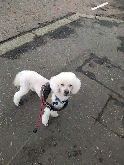 Grooming Van Image