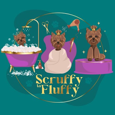 Scruffy to Fluffy Dog Grooming