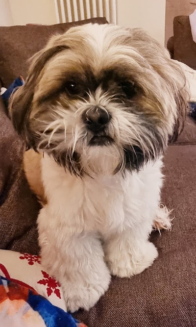 Grooming Van Image