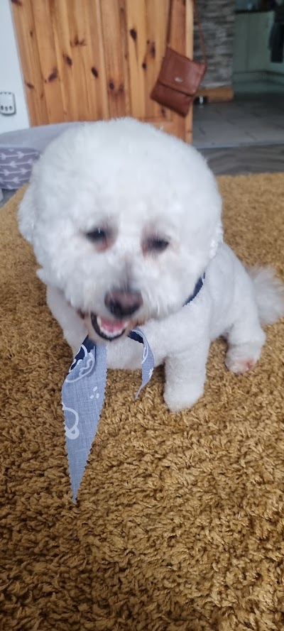 Grooming Van Image