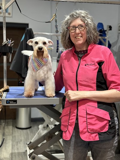 Grooming Van Image