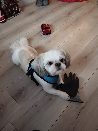 Grooming Van Image