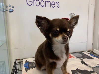 Grooming Van Image